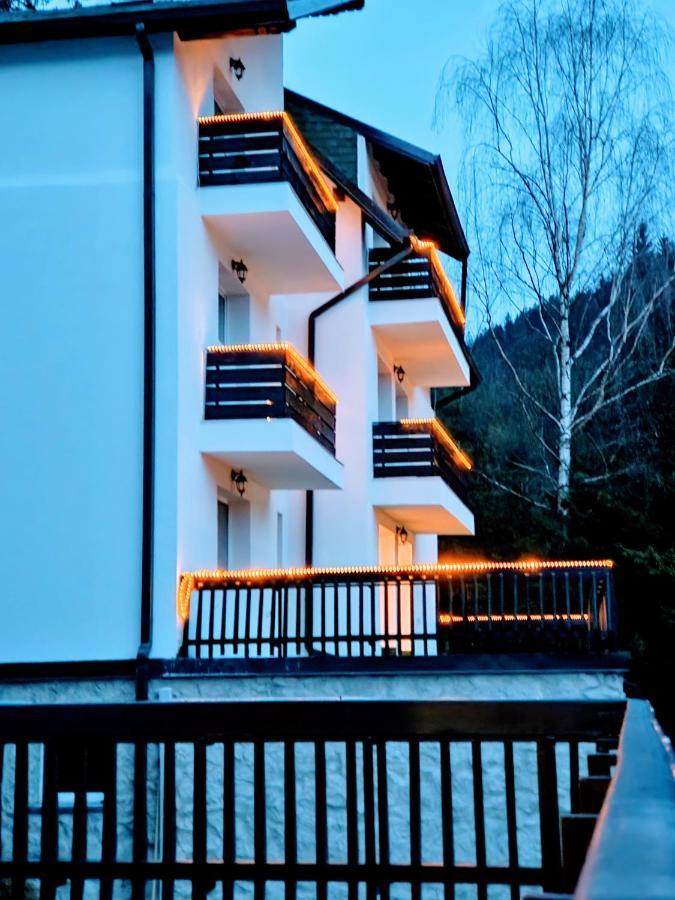 Tache Villa 1 Poiana Brasov Exteriör bild